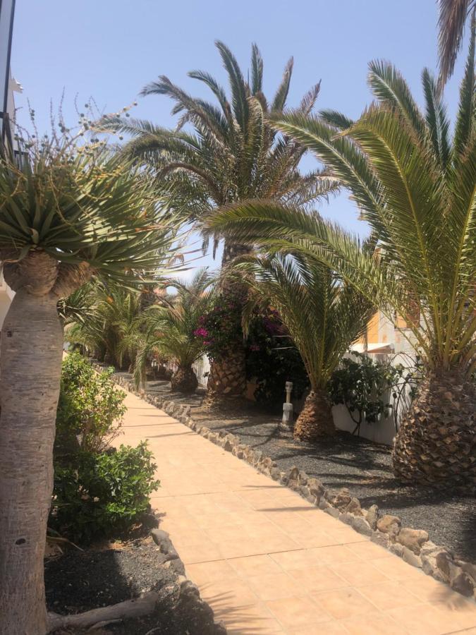 Apartamento Smile Complex Amaya Fuerteventura Costa De Antigua Dış mekan fotoğraf