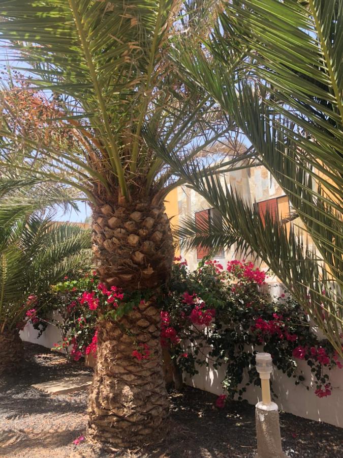 Apartamento Smile Complex Amaya Fuerteventura Costa De Antigua Dış mekan fotoğraf